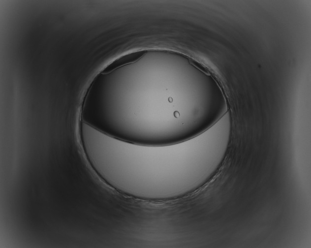 X0000090631528200707171125