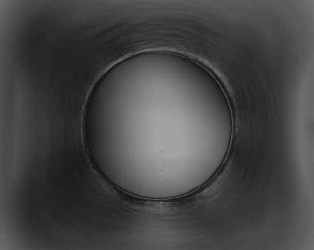 X0000090631529200707171126