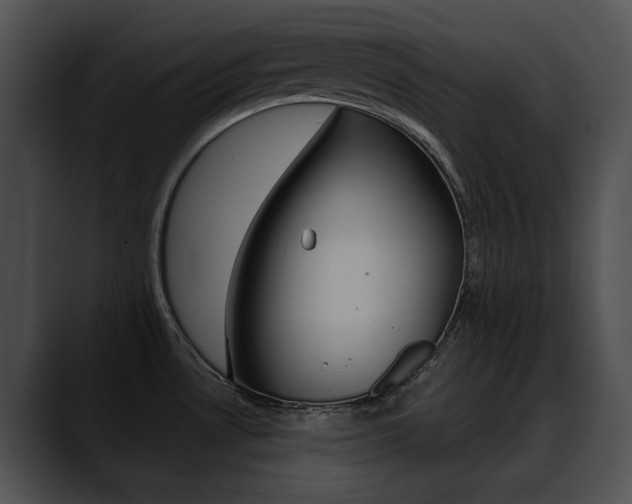 X0000090631530200707171126