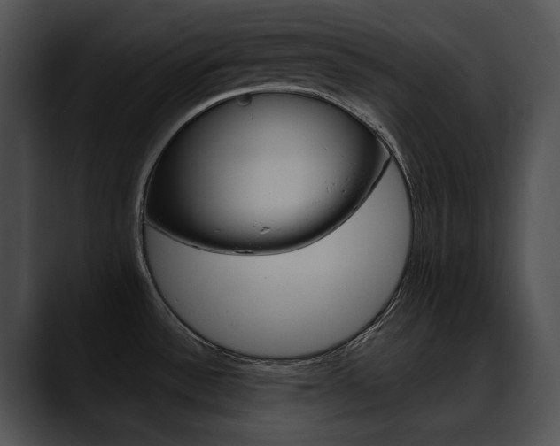 X0000090631532200707171126