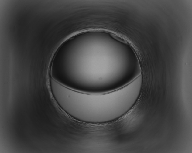 X0000090631534200707171126