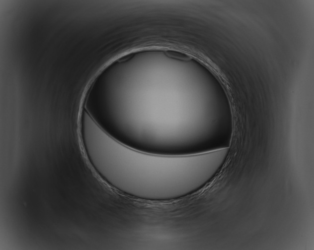 X0000090631536200707171126