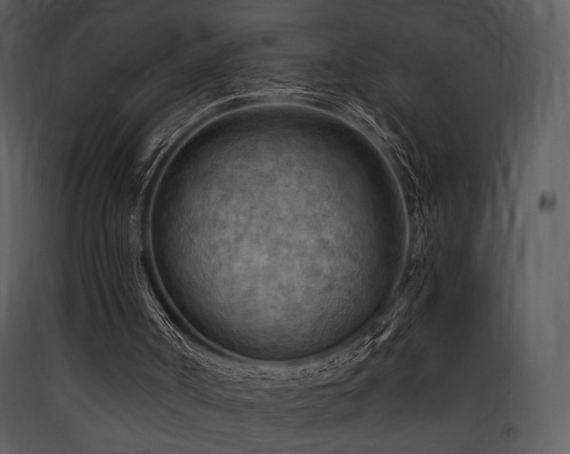 X0000090630002200707171458