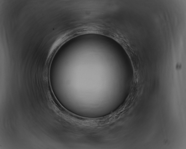 X0000090630004200707171458