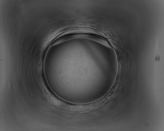 X0000090630005200707171458