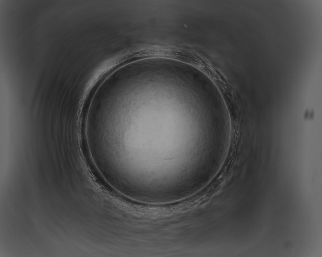 X0000090630006200707171458