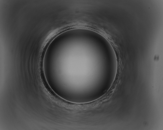 X0000090630007200707171458