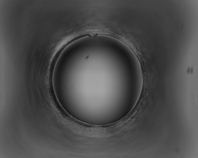 X0000090630008200707171458