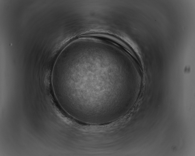 X0000090630009200707171458