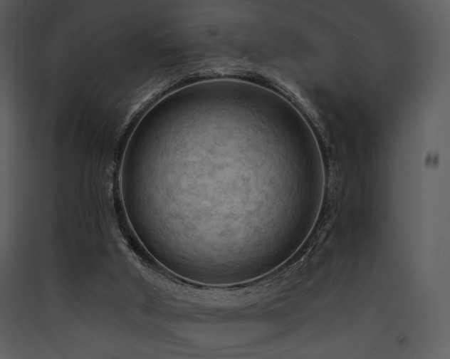 X0000090630010200707171458