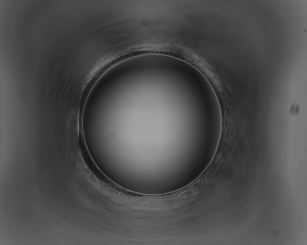 X0000090630011200707171458