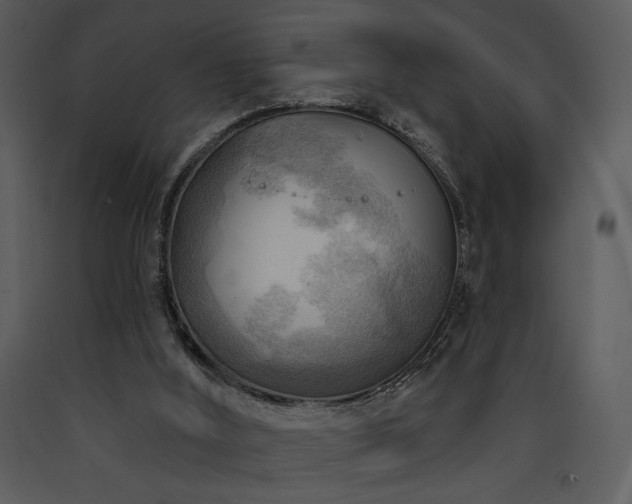 X0000090630012200707171458