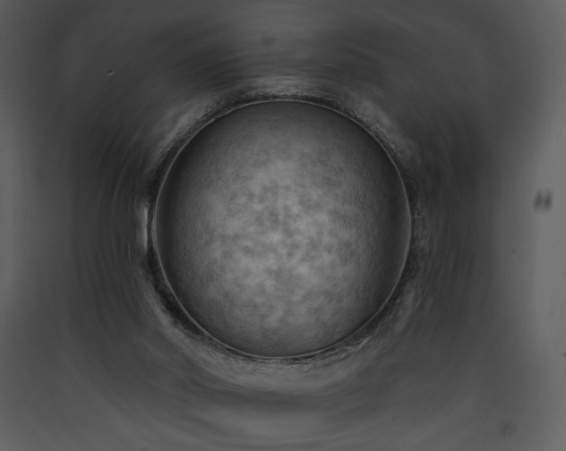 X0000090630014200707171458