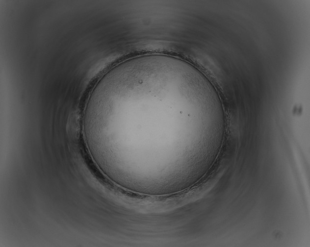 X0000090630016200707171457