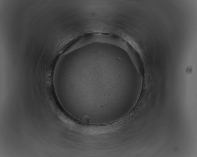 X0000090630017200707171457