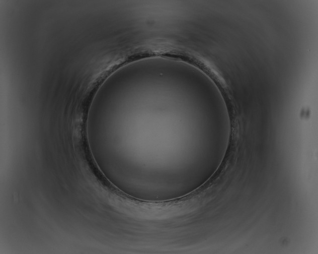 X0000090630018200707171457