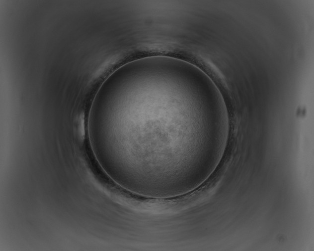 X0000090630020200707171457