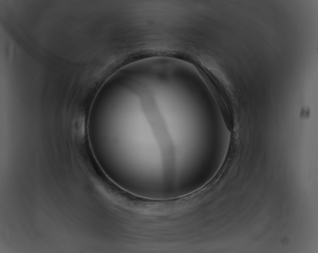 X0000090630021200707171457