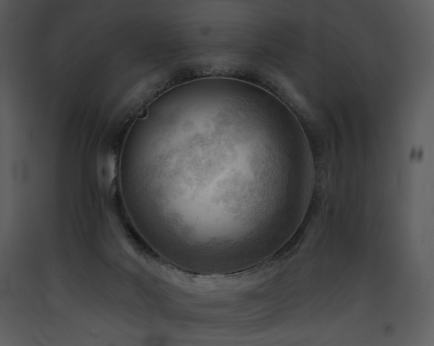 X0000090630022200707171457