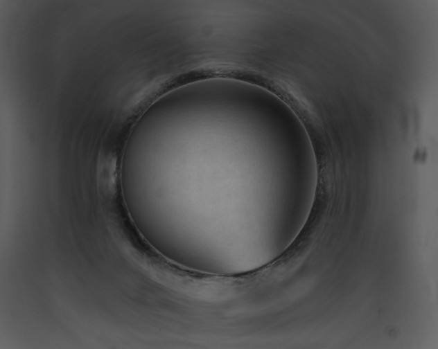 X0000090630024200707171457