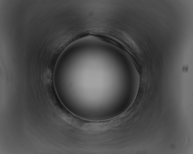 X0000090630025200707171457