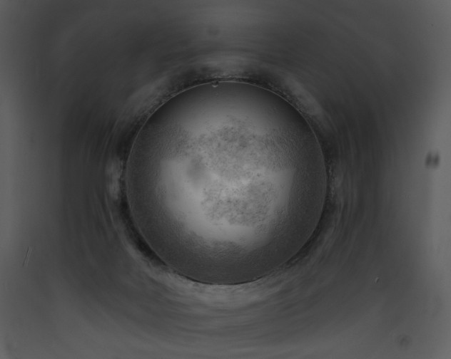 X0000090630026200707171457