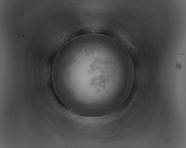 X0000090630030200707171457