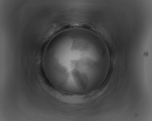 X0000090630032200707171457