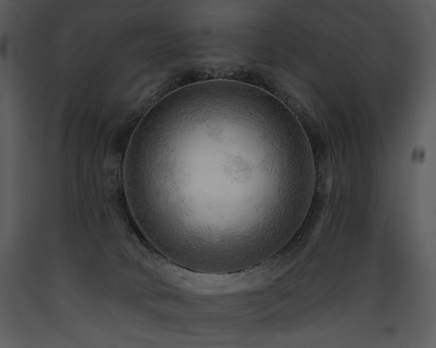 X0000090630034200707171457