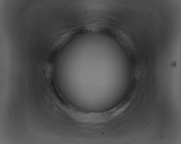 X0000090630036200707171457