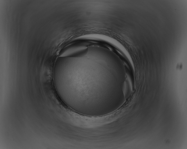 X0000090630039200707171457