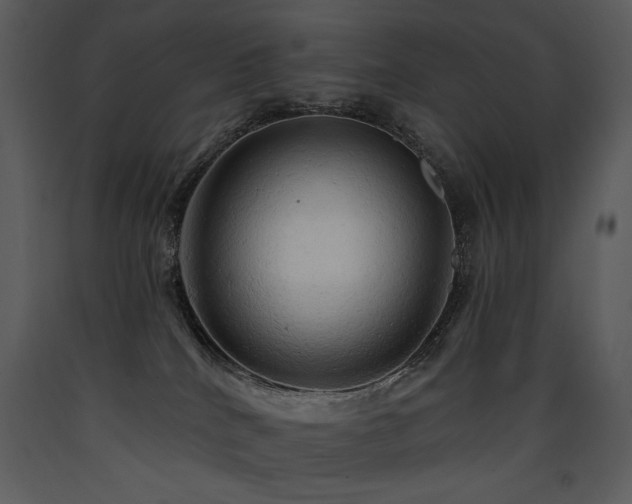 X0000090630040200707171457