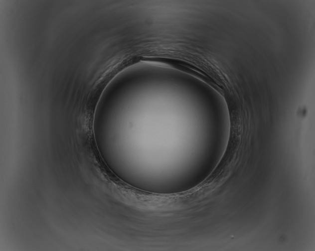 X0000090630044200707171457