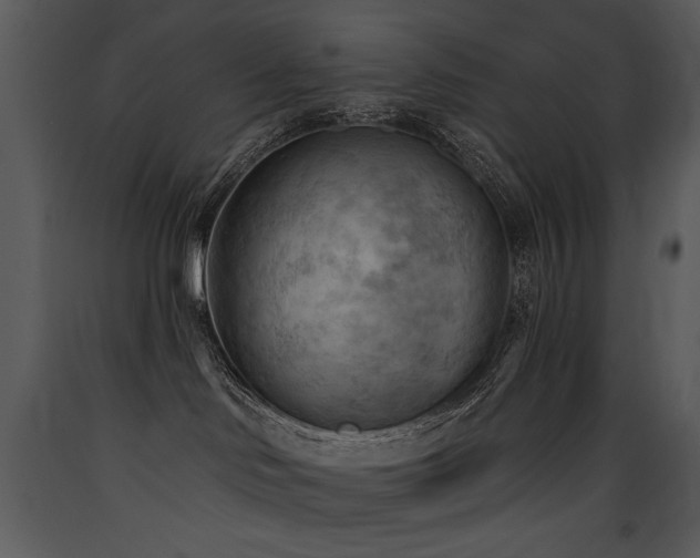 X0000090630046200707171457