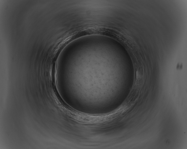 X0000090630048200707171457