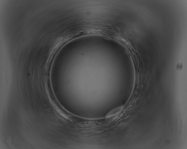 X0000090630049200707171456