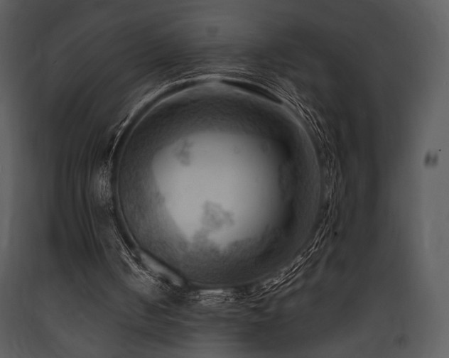 X0000090630050200707171456