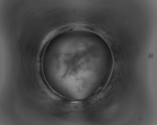 X0000090630053200707171456