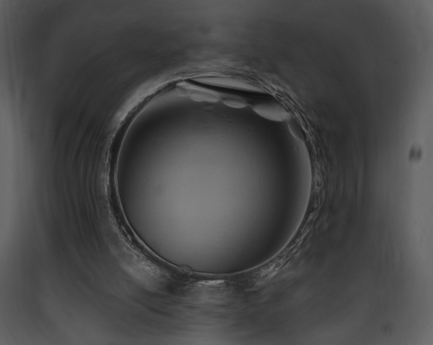 X0000090630054200707171456