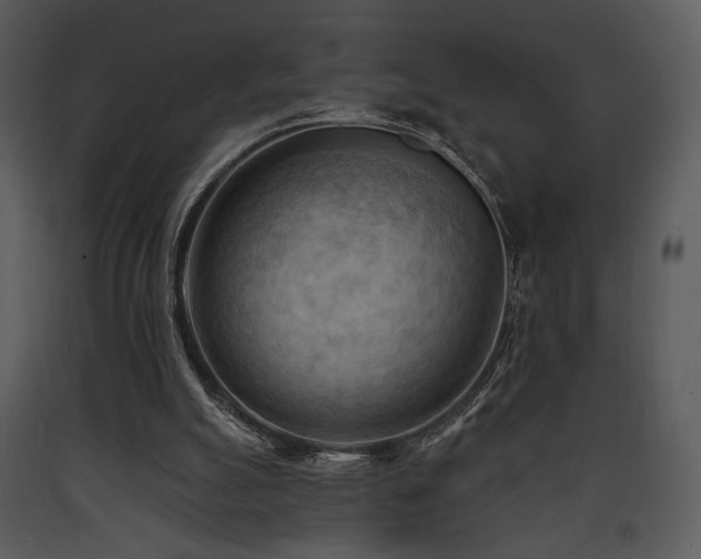 X0000090630055200707171456