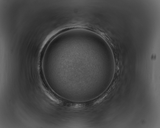 X0000090630056200707171456