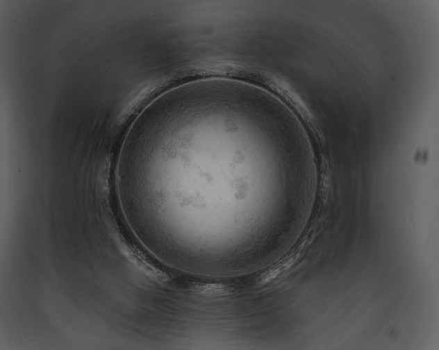 X0000090630058200707171456