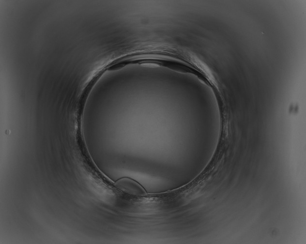 X0000090630059200707171456
