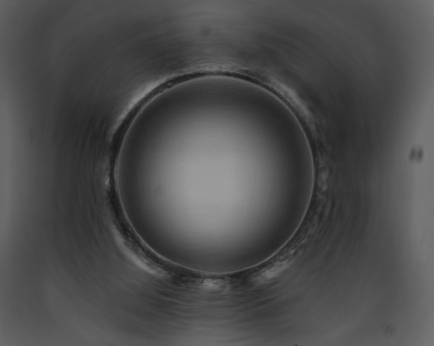 X0000090630060200707171456