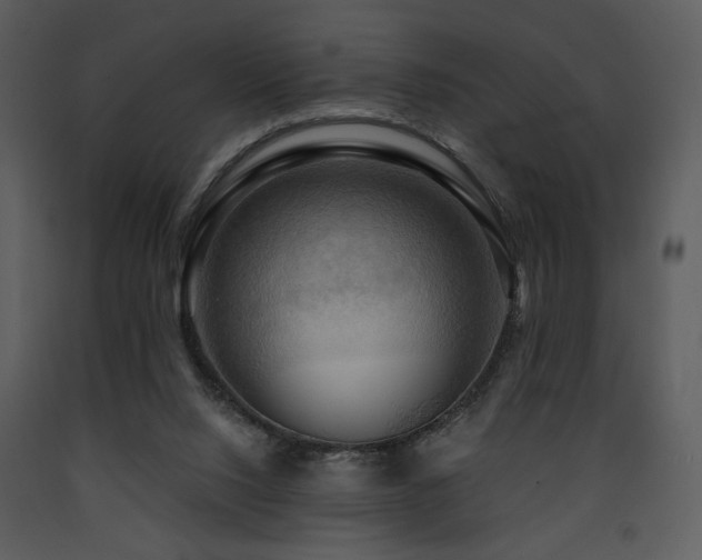 X0000090630064200707171456