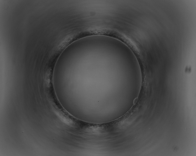 X0000090630065200707171456