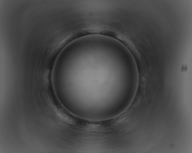 X0000090630066200707171456
