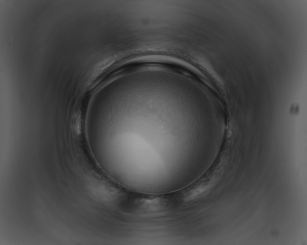 X0000090630068200707171456