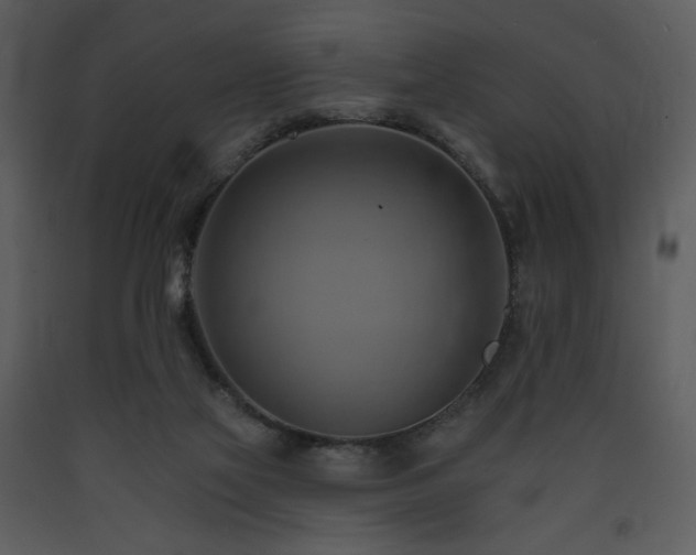 X0000090630069200707171456