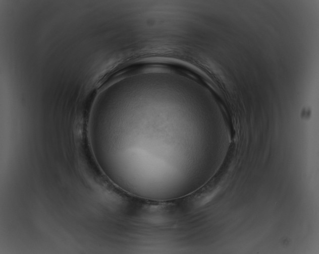 X0000090630072200707171457